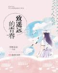 致遥远的青春